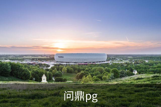 问鼎pg公司简介图片
